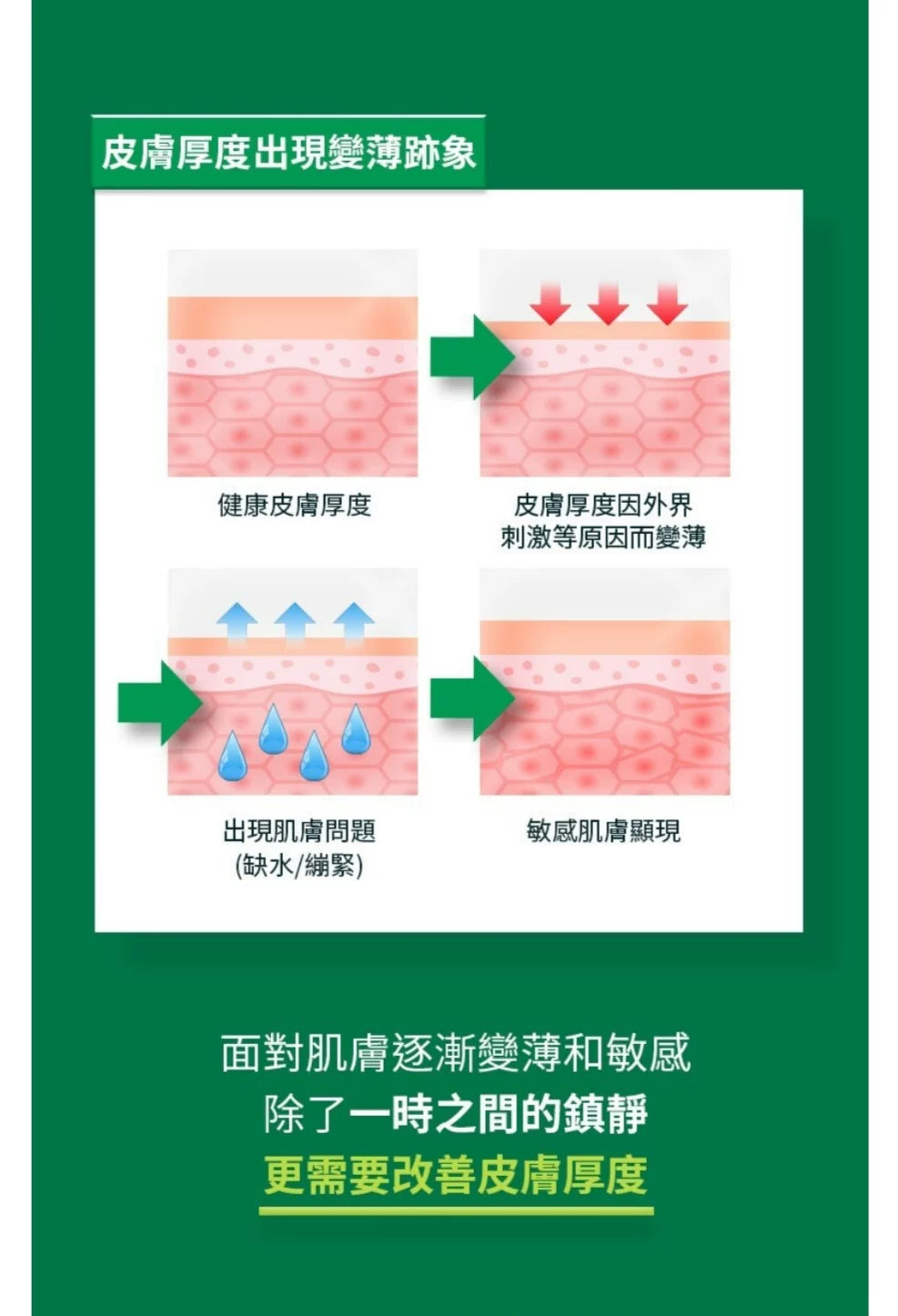 韩国BOH泛酰醇积雪草精华镇静保湿抗敏修护屏障紧致抗皱舒缓正品